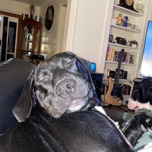 Meet your Posher, Julianne